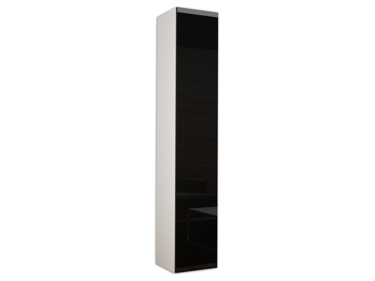 Wall mounted cabinet VIGO VG2B white / black gloss