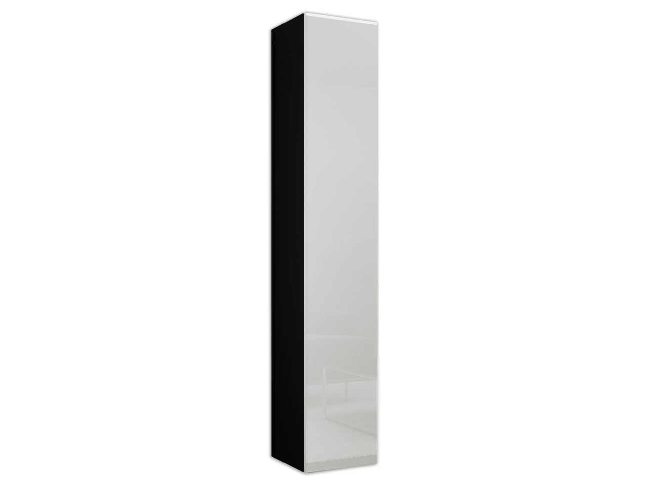 Wall mounted cabinet VIGO VG2C black / white gloss